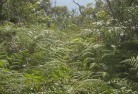 Dry Creek NSWnative-gardens-9.jpg; ?>